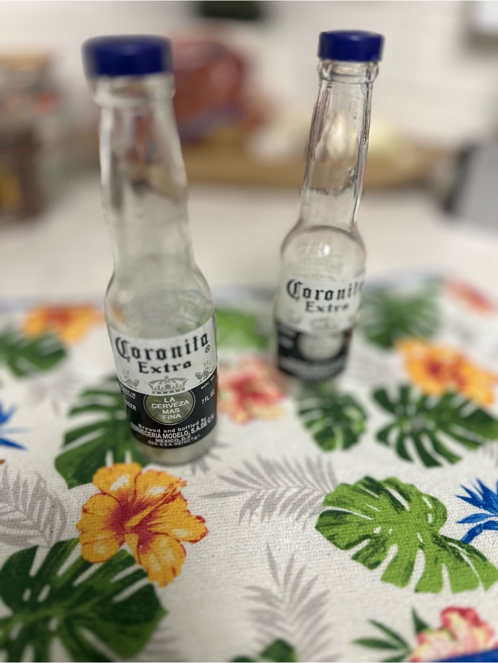 Vintage Coronita Extra Beer Bottle Salt & Pepper Shakers Set